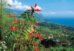 Madeira - Caniço de Baixo